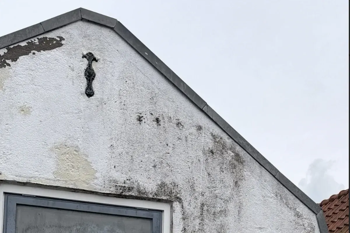 Gevel met algaanslag, groene aanslag en afbladderende verf door achterstallig onderhoud