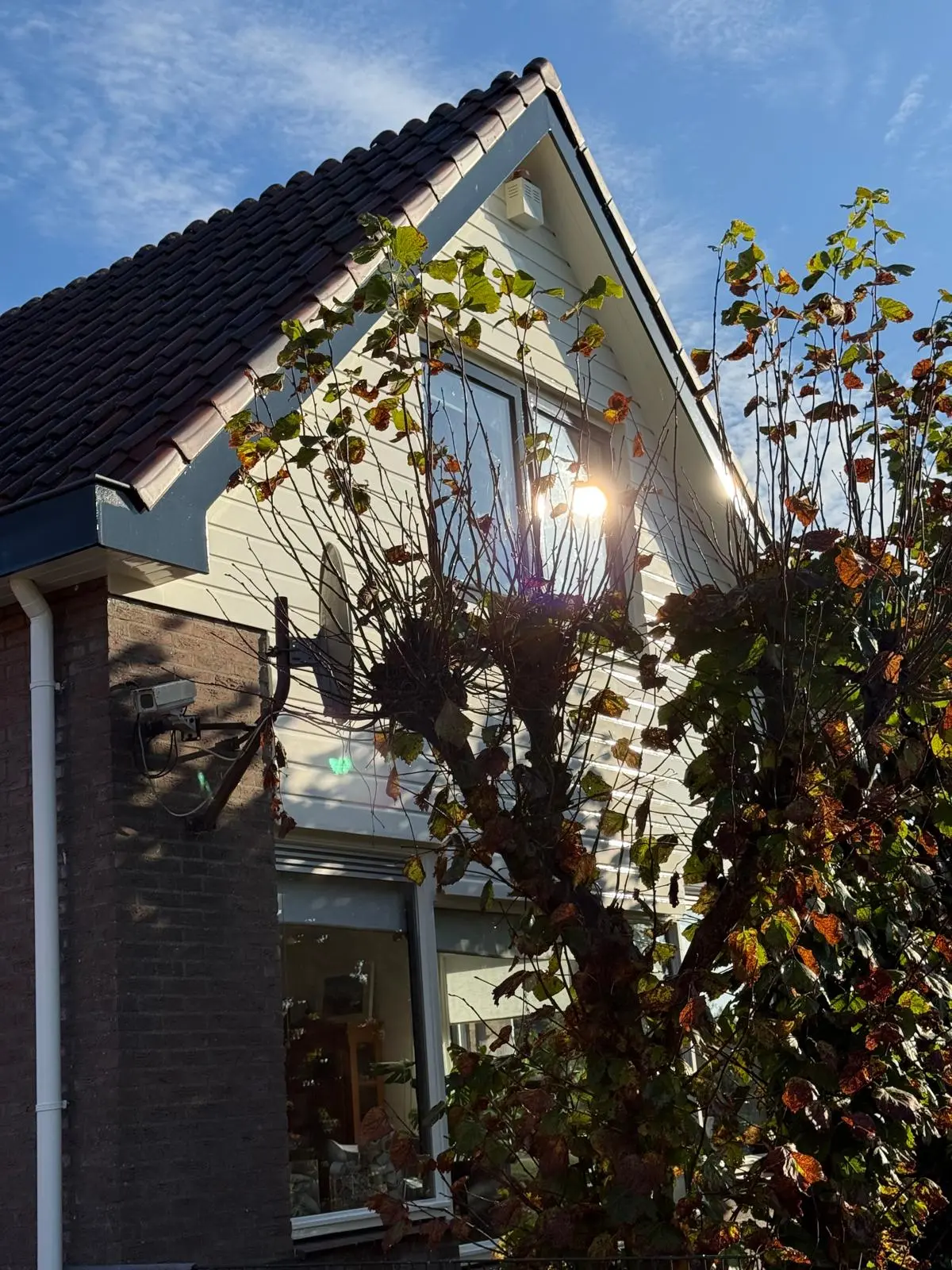 Wit houten geveltop met dakrand, goot en boeiboord na onderhoud